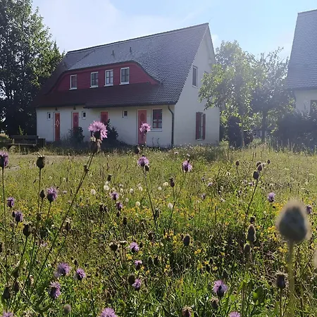 Rugana - Klassik Mit 1 Schlafzimmer Und Terrasse B56 * Dranske